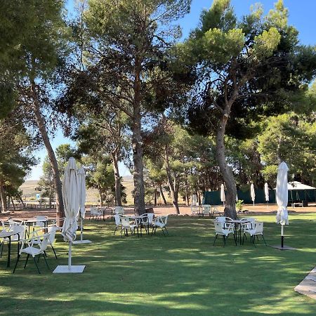 Hotel El Cisne سرقسطة المظهر الخارجي الصورة